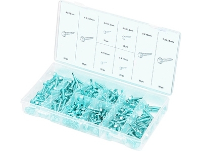 Набор саморезов 6 гран. гол. 200 предм. — купить в интернет-магазине amurinstrument.ru с доставкой по #WF_CITY_DAT# | Каталог с характеристиками и ценами набор саморезов 6 гран. гол. 200 предм., купить metabo, купить husqvarna, купить bosch, купить makita, купить hitachi, купить hikoki, купить oregon, купить stihl